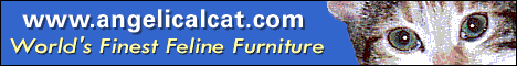 Angelical Cat Furniture has really great stuff!
