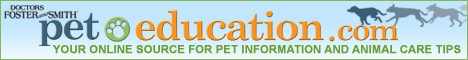 Pet Education