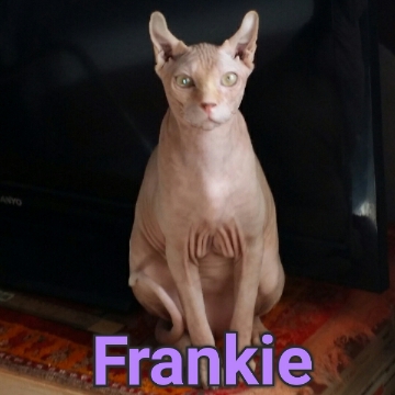 Frankie