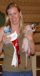 Gilda Sphynx Cat