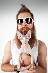 Yo, Dude, love your sphynx cat!
