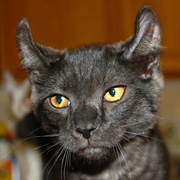 Benicio