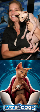 Kitty Galore