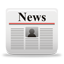 sphynx cats news