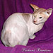 Photo-02