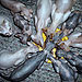 Photo-03