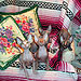Photo-06