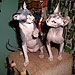 Photo-07