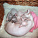 Photo-12