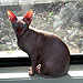 Photo-16