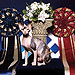 Photo-17