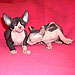 Photo-18