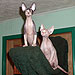 Photo-24