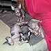 Photo-26