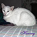 Photo-27