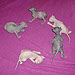 Photo-28
