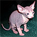 Photo-31