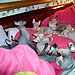 Photo-35