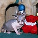 Photo-48