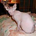 Photo-62