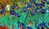 Van Gogh